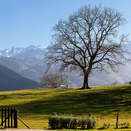 La Montana Magica Hotel Rural Vibano Dış mekan fotoğraf