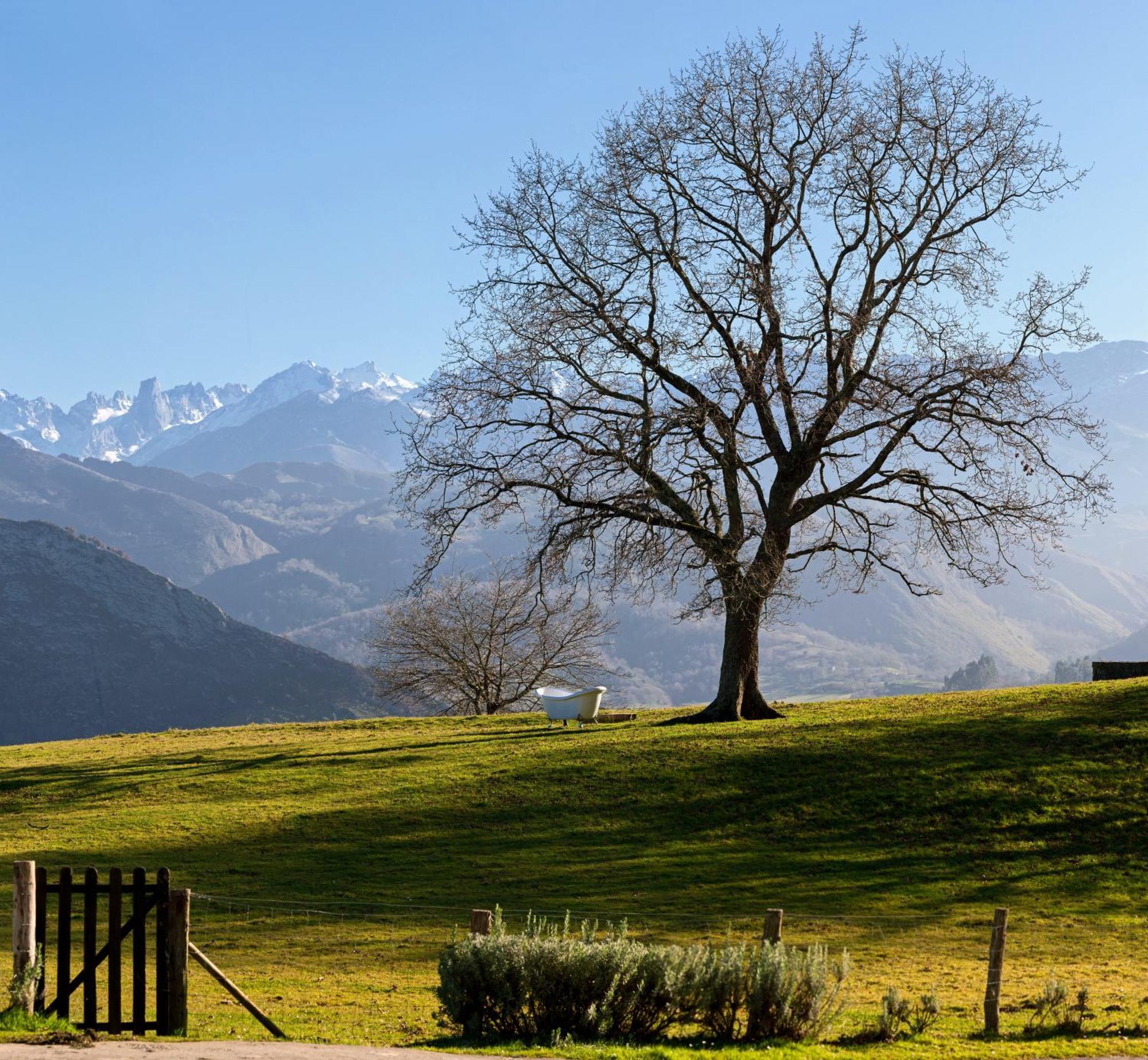 La Montana Magica Hotel Rural Vibano Dış mekan fotoğraf